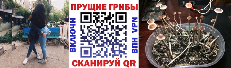 наркотики  Сафоново  Галлюциногенные грибы ЛСД 